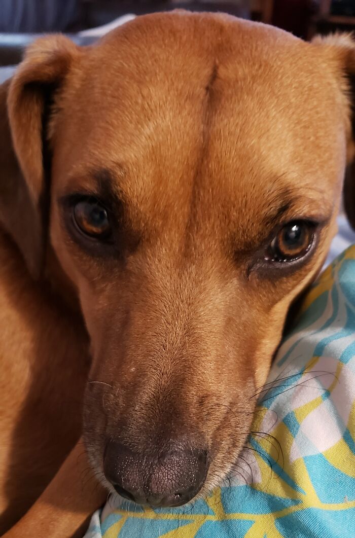 Phoebe, Precious And Pretty