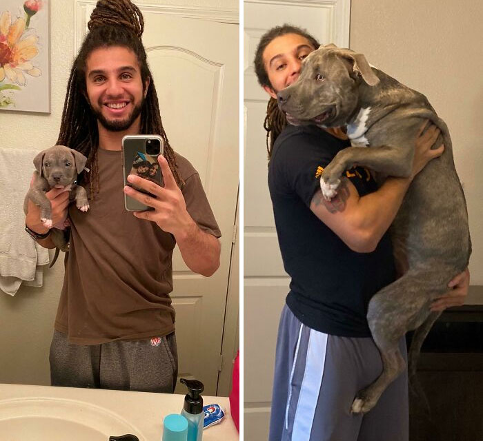 Mi pequeño cumplió un año esta semana