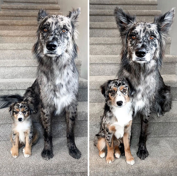 What A Difference 4 Months Makes