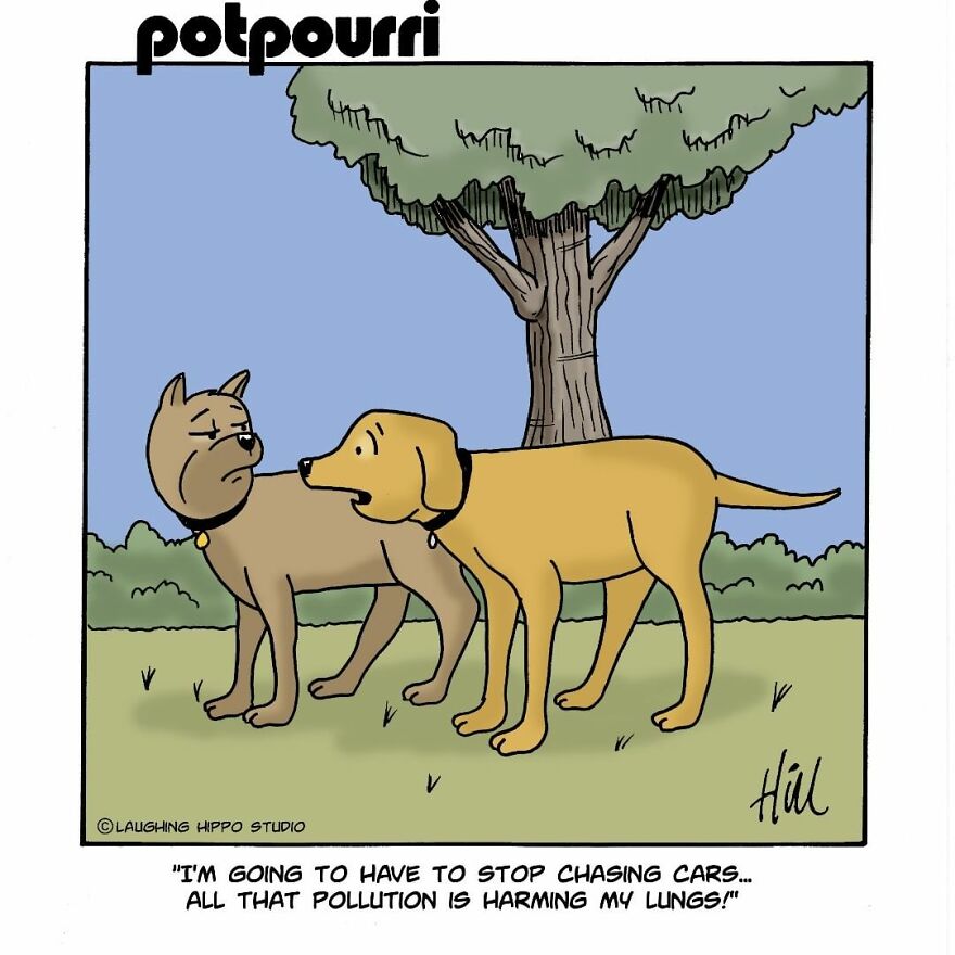 Laugh At The Short Jokes Of "Laughing Hippo Studios"