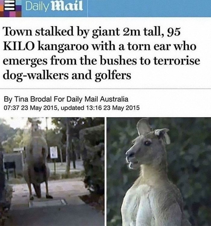 Had To Search Up If It Was Real