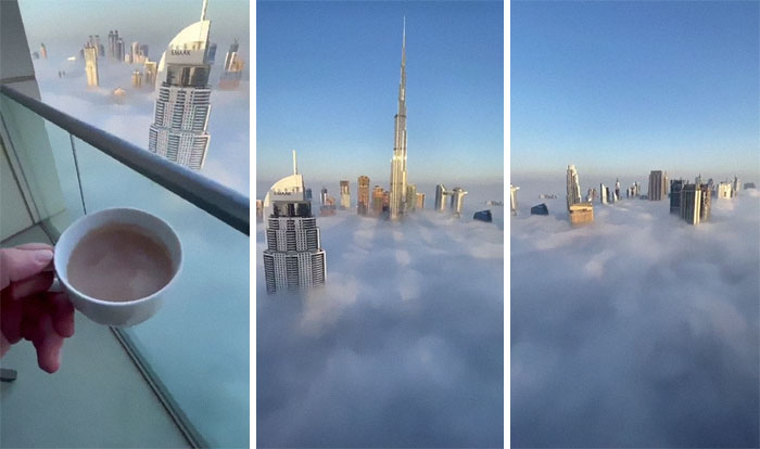 The View From This Apartment In Dubai