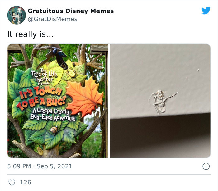 Meme-Of-Roach-Painted-Over-By-Landlord