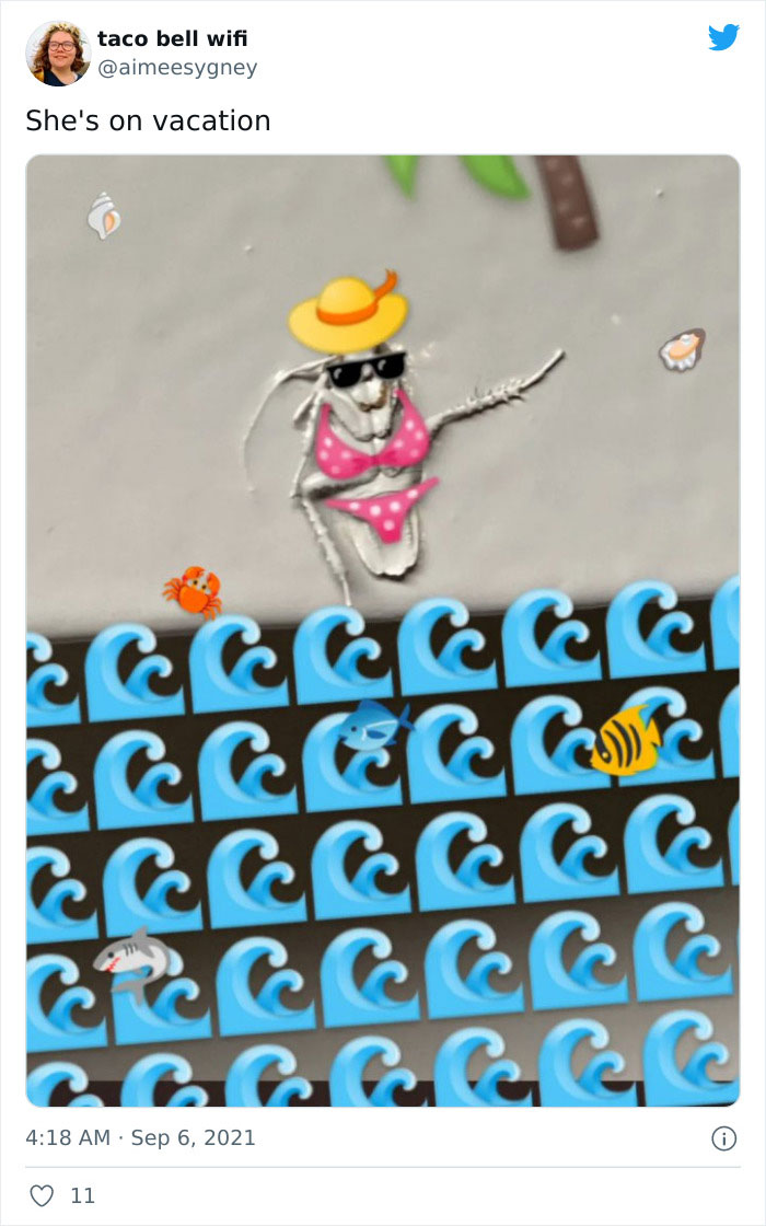 Meme-Of-Roach-Painted-Over-By-Landlord