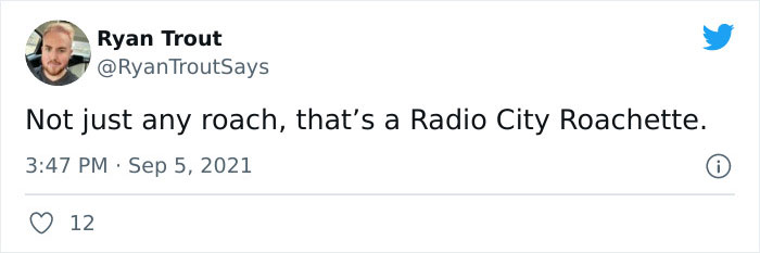 Meme-Of-Roach-Painted-Over-By-Landlord