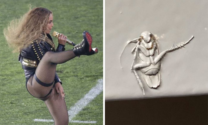 Texas Woman Shares How Her Landlord Painted Over A Roach And The Internet Responds With These 30 Memes And Jokes