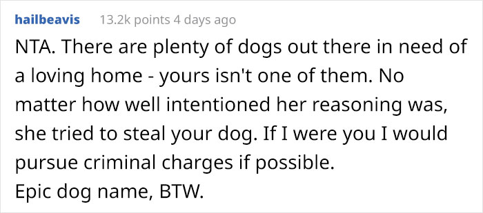Stranger Mistakenly Tries To Liberate Guy's Muzzled Dog Due To Believing It's Animal Cruelty Stranger Mistakenly Tries To Liberate Guy's Muzzled Dog Due To Believing It's Animal Cruelty