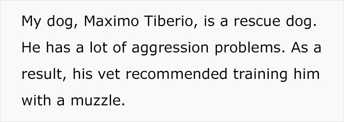 Stranger Mistakenly Tries To Liberate Guy's Muzzled Dog Due To Believing It's Animal Cruelty Stranger Mistakenly Tries To Liberate Guy's Muzzled Dog Due To Believing It's Animal Cruelty