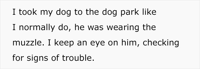 Stranger Mistakenly Tries To Liberate Guy's Muzzled Dog Due To Believing It's Animal Cruelty Stranger Mistakenly Tries To Liberate Guy's Muzzled Dog Due To Believing It's Animal Cruelty