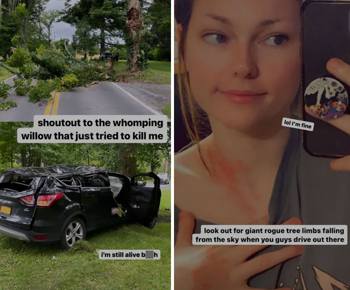 Getting Crushed By A Random Branch But Surviving With Minor Injurie