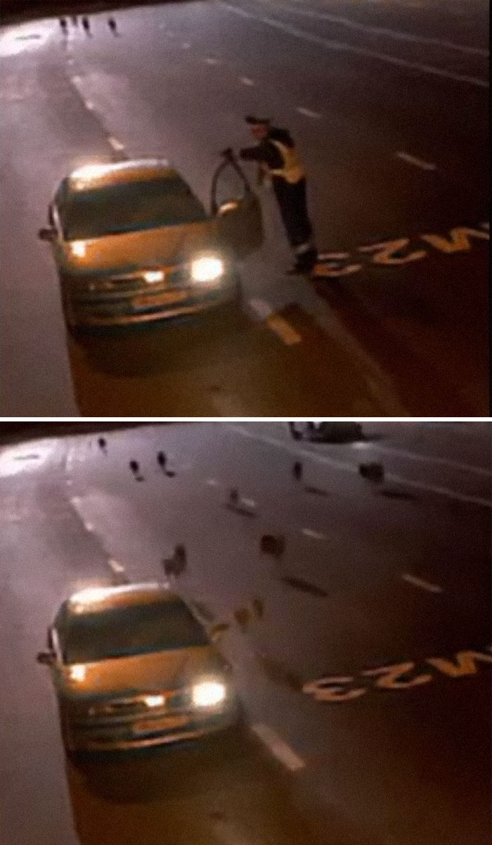 Russian Cop Gets Interrupted By A Pack Of Wolves During A Traffic Stop