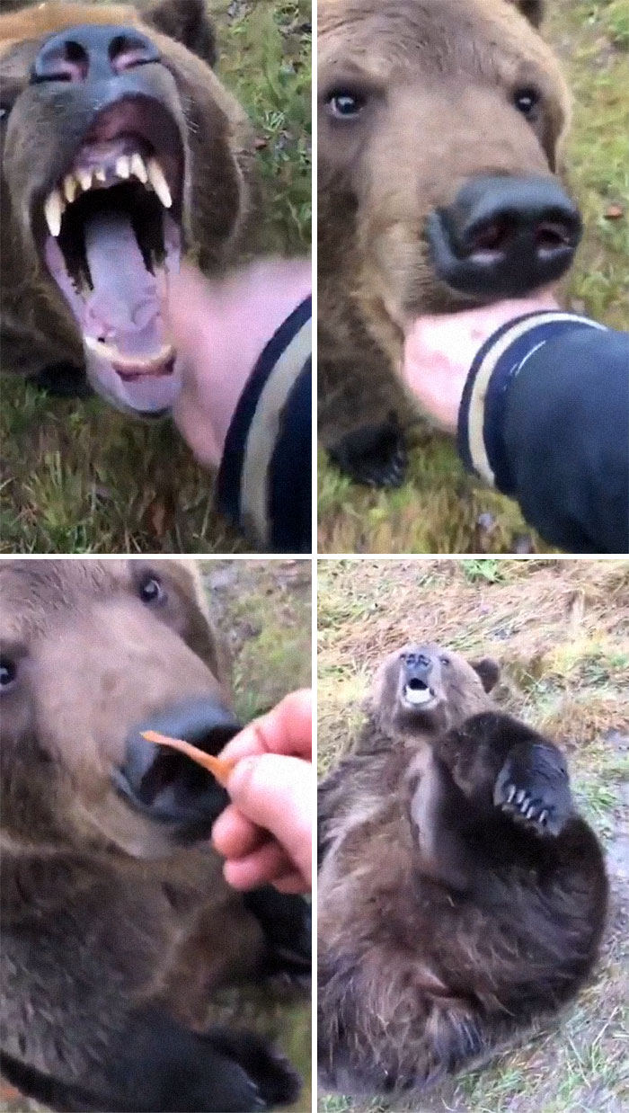 What You Mean By Scary? Is Friendly New Pet!