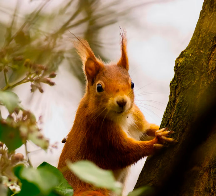 30 Times Guys Failed To Notice The Most Obvious Signals From Girls And Had Only Themselves To Blame