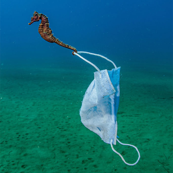 The Ocean Photography Awards 2021 Announced Their Finalists (30 Pics)