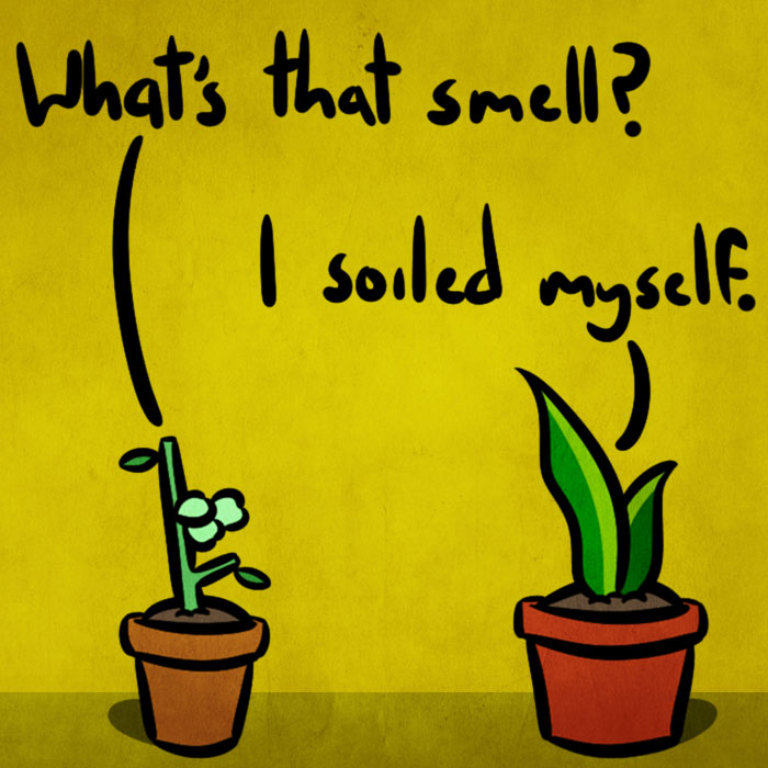 I Make One Panel Comics Starring A Snake And Goose Plants, And Here Are 16 Of My Best Works