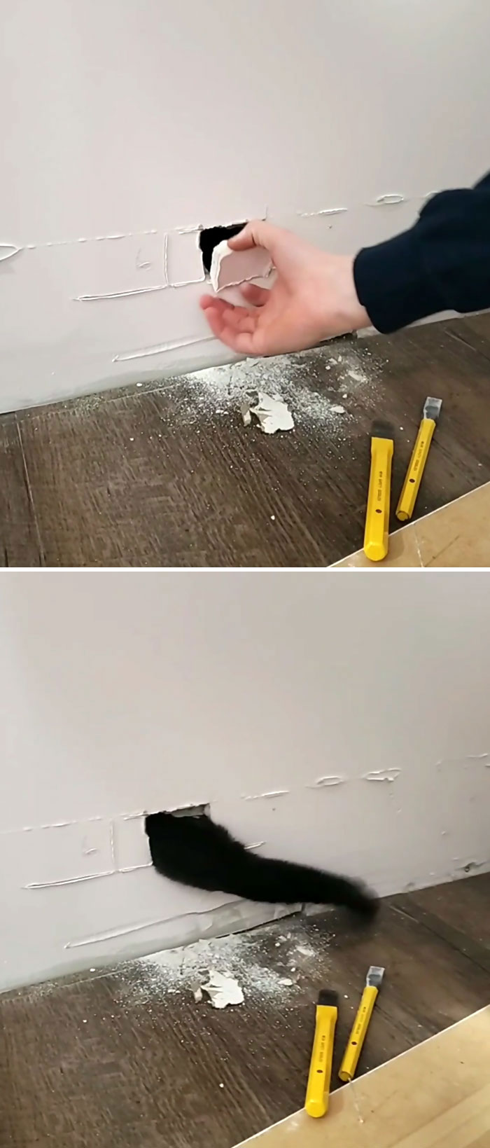 Owners-Share-Weirdest-Places-Cats-End-Up