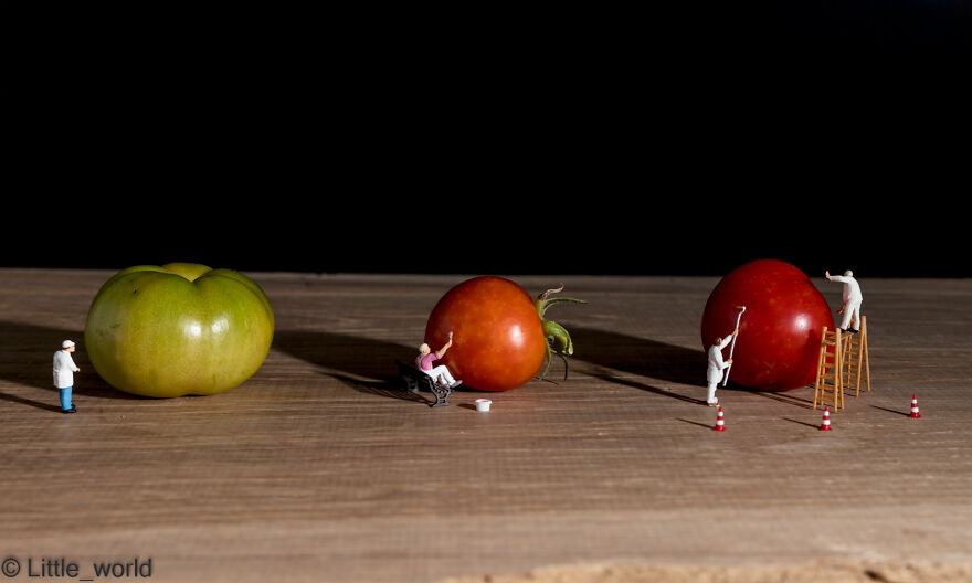 Painting The Tomatoes