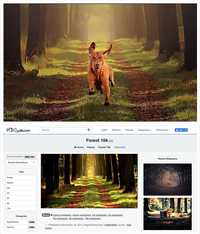 Photographer Caught Photoshopping His Photos From Stock Pictures, Denies Everything Until He's Totally Exposed
