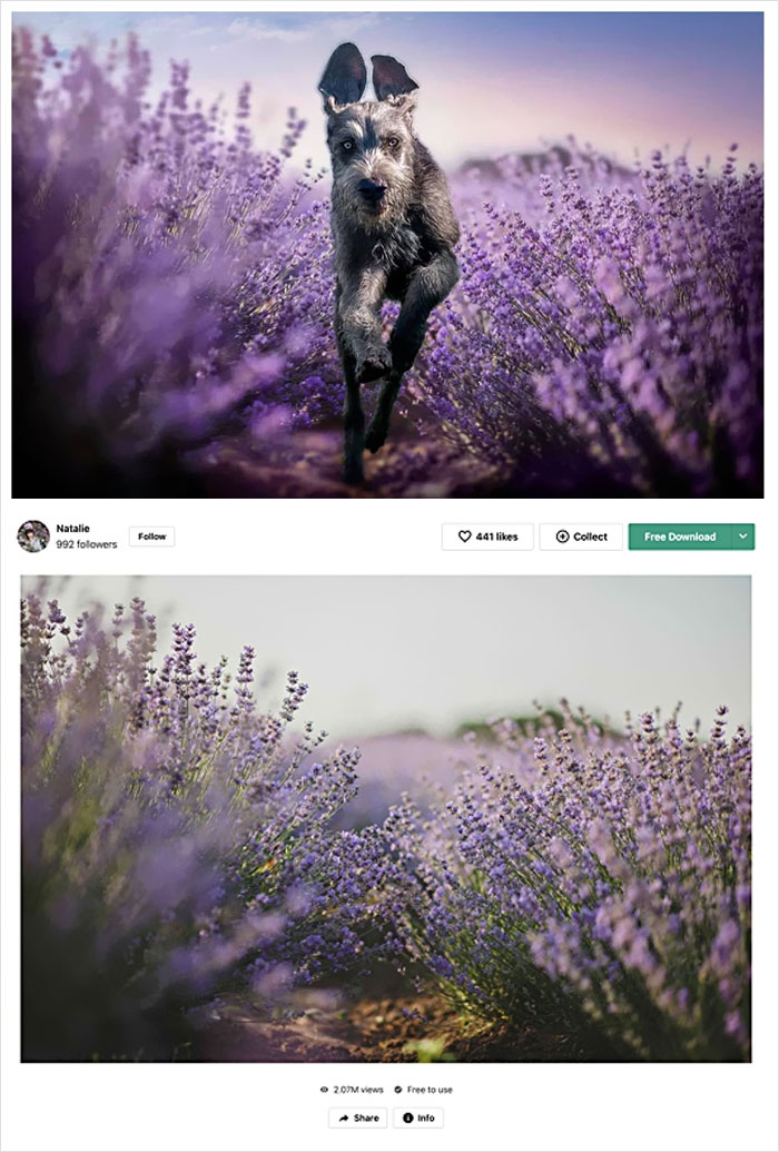 Photographer Caught Photoshopping His Photos From Stock Pictures, Denies Everything Until He's Totally Exposed