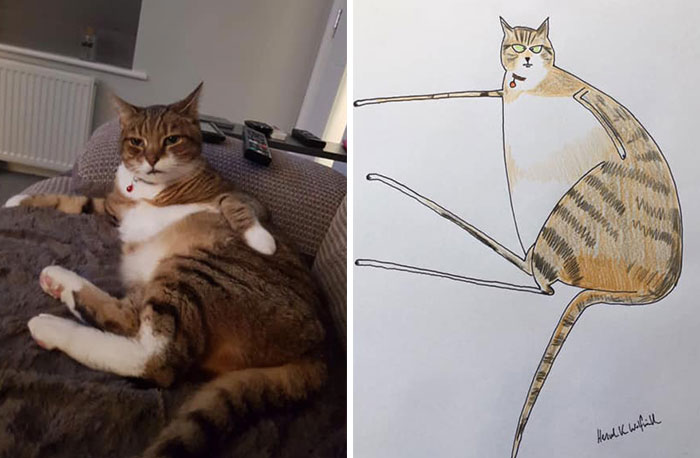 30 Animal Portraits Drawn So Badly, They Look Like Masterpieces
