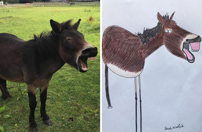 30 Animal Portraits Drawn So Badly, They Look Like Masterpieces