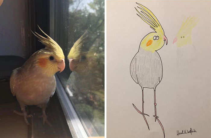 30 Animal Portraits Drawn So Badly, They Look Like Masterpieces