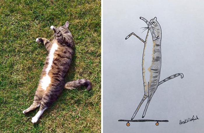 30 Animal Portraits Drawn So Badly, They Look Like Masterpieces