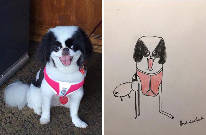 30 Animal Portraits Drawn So Badly, They Look Like Masterpieces