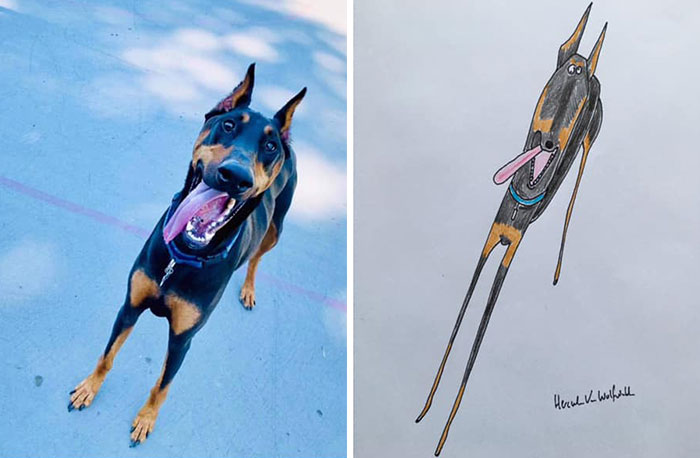 30 Animal Portraits Drawn So Badly, They Look Like Masterpieces