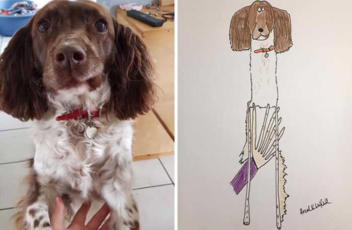 30 Animal Portraits Drawn So Badly, They Look Like Masterpieces