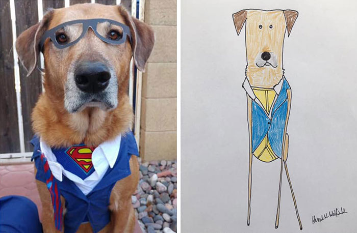 30 Animal Portraits Drawn So Badly, They Look Like Masterpieces