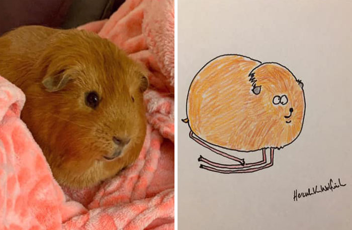 30 Animal Portraits Drawn So Badly, They Look Like Masterpieces