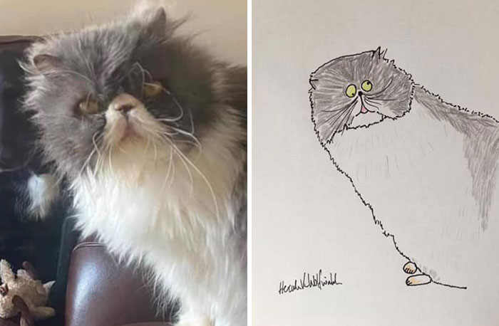 30 Animal Portraits Drawn So Badly, They Look Like Masterpieces