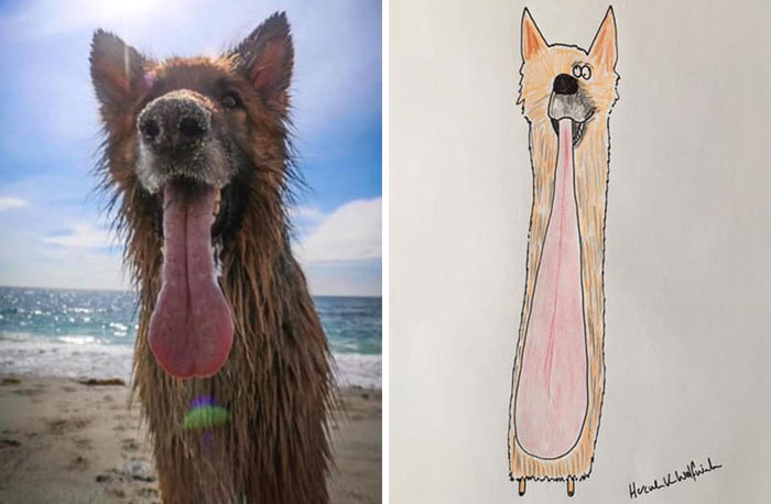 30 Animal Portraits Drawn So Badly, They Look Like Masterpieces