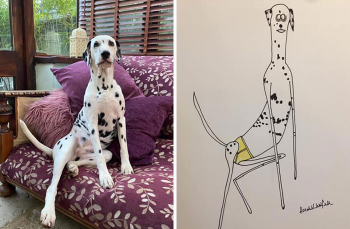30 Animal Portraits Drawn So Badly, They Look Like Masterpieces