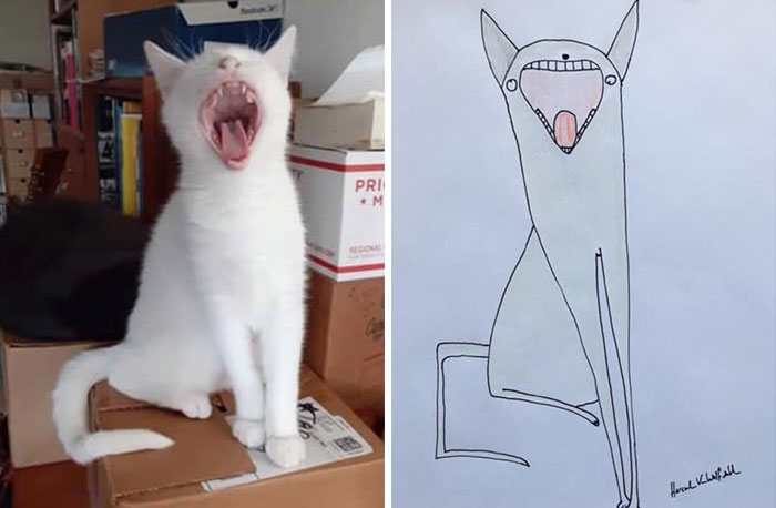 30 Animal Portraits Drawn So Badly, They Look Like Masterpieces