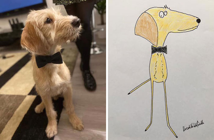 30 Animal Portraits Drawn So Badly, They Look Like Masterpieces
