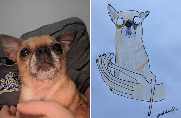 30 Animal Portraits Drawn So Badly, They Look Like Masterpieces