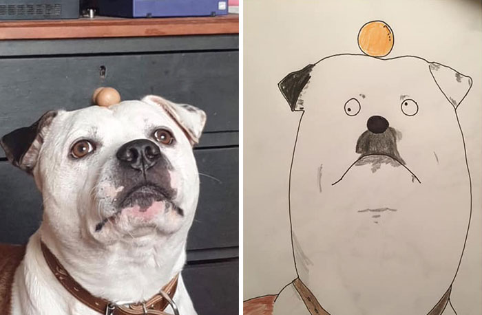 30 Animal Portraits Drawn So Badly, They Look Like Masterpieces