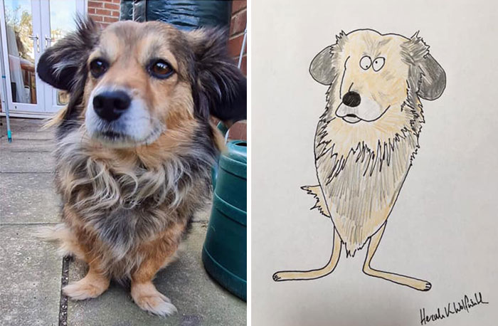 30 Animal Portraits Drawn So Badly, They Look Like Masterpieces