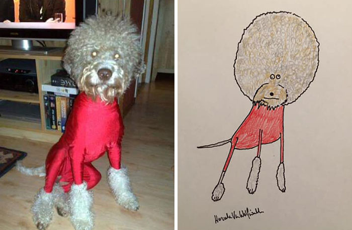 30 Animal Portraits Drawn So Badly, They Look Like Masterpieces