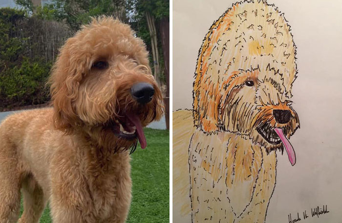 30 Animal Portraits Drawn So Badly, They Look Like Masterpieces