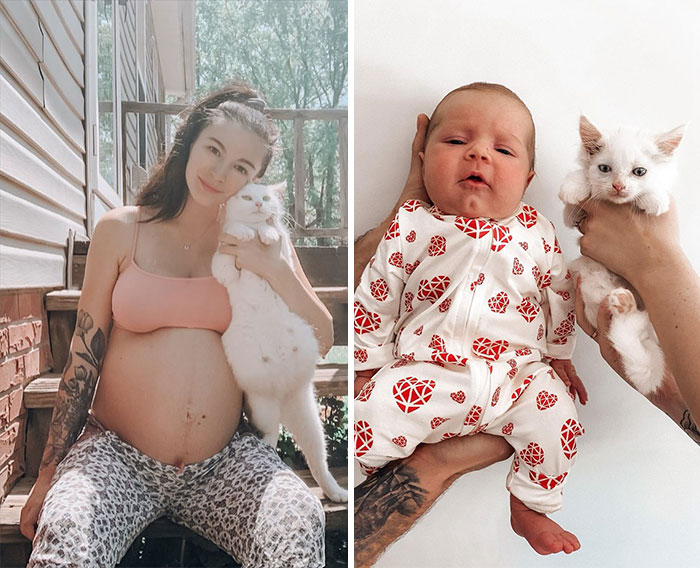 Pregnant Woman And Cat Give Birth At The Same Time After She Found The Pregnant Cat And Fostered Her