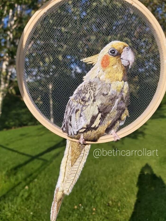 Cockatiel