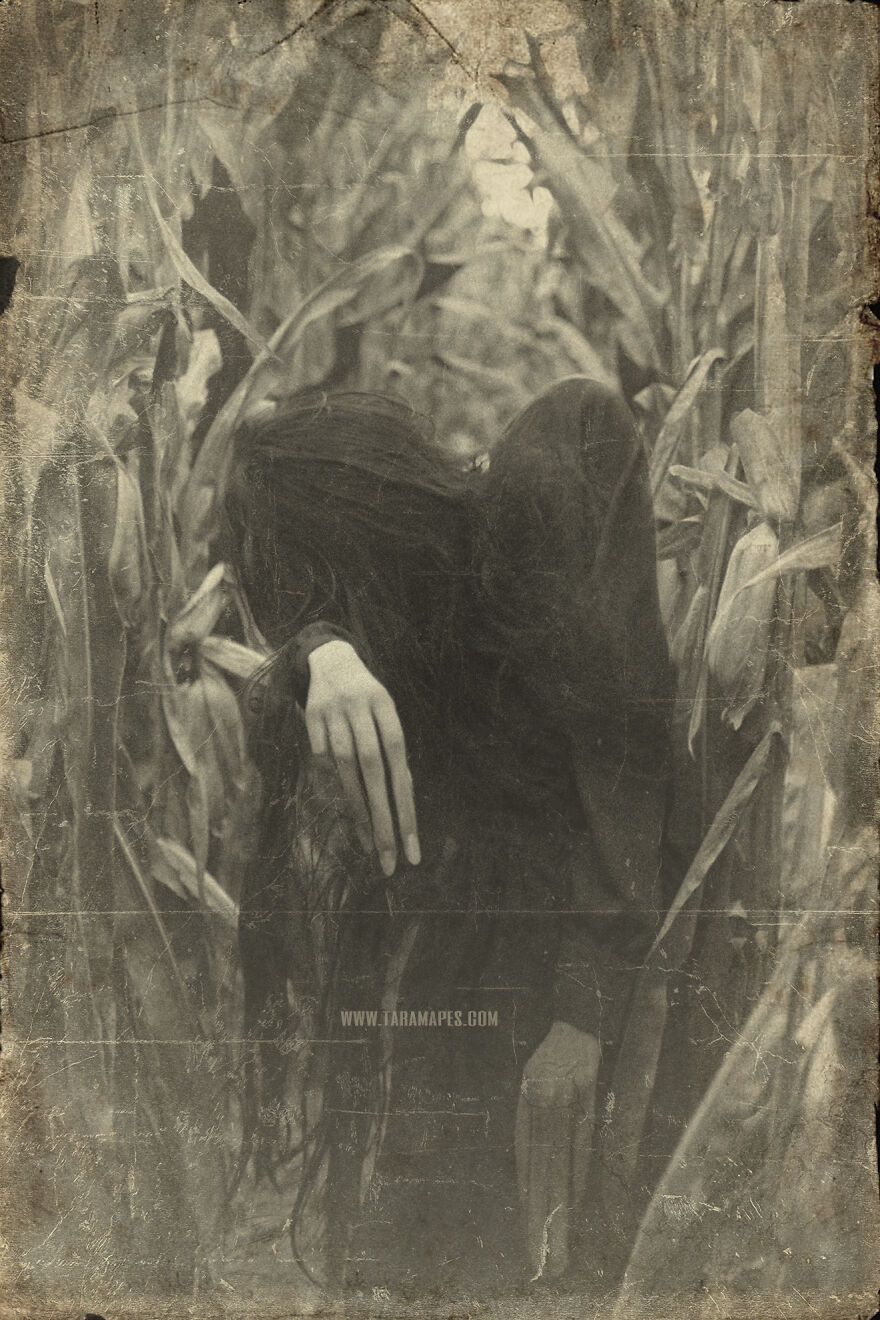 I Photographed Creepy Clowns In A Cornfield Because I Love Vintage Horror Halloween Images