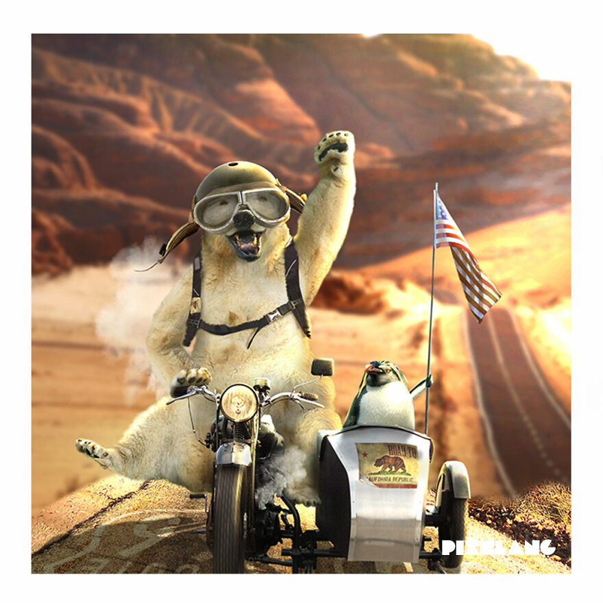 We Love To Be Creative With Animals We Love To Be Creative With Animals