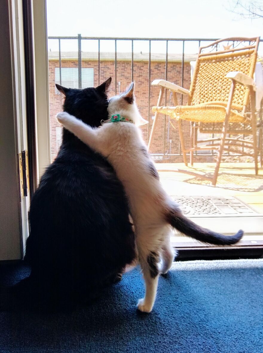 This Is My "Big Bro Steve"