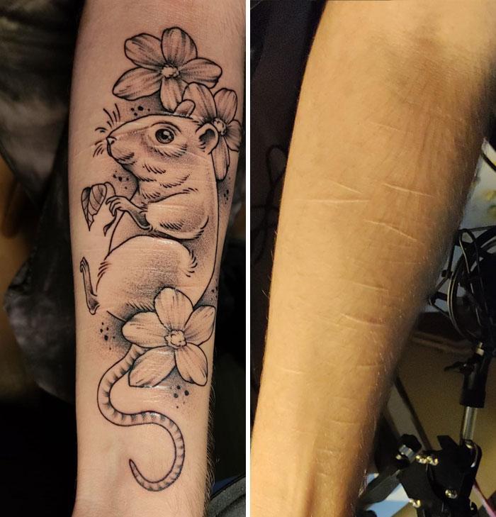 Tattoo cover-up of scars with a detailed mouse and flowers design on forearm.
