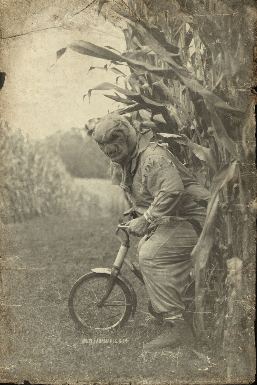 I Photographed Creepy Clowns In A Cornfield Because I Love Vintage Horror Halloween Images