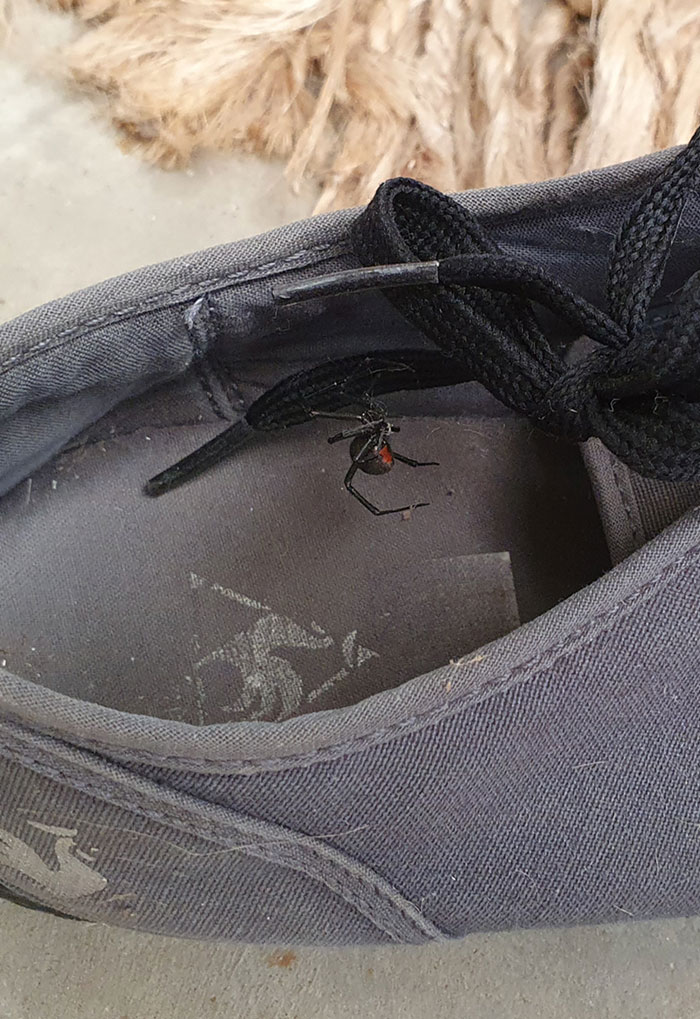 For All The Naysayers Who Think The Rest Of Us Are Paranoid